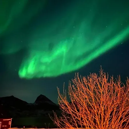 Solstad Ferienhaus *